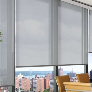 Electric Window Blinds
